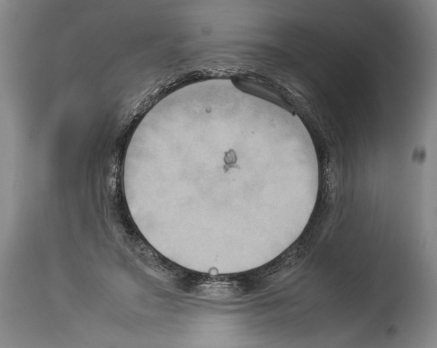 X0000113930499200911061222