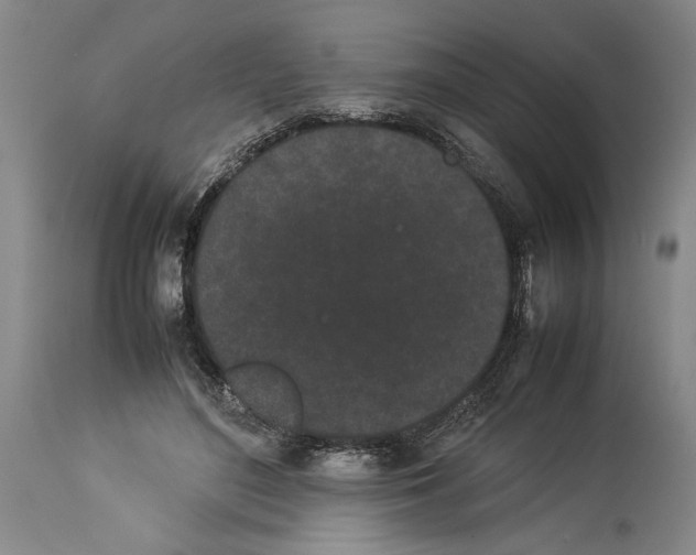 X0000113930500200911061222
