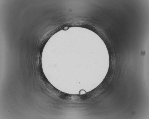 X0000113930501200911061222