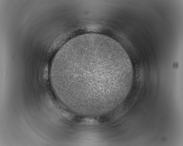 X0000113930502200911061222