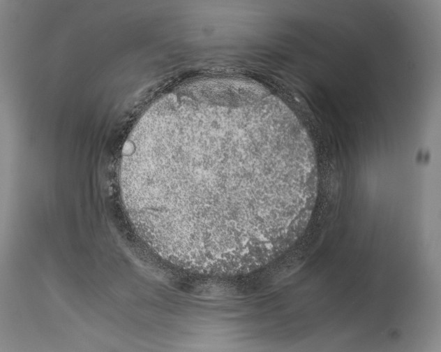 X0000113930503200911061222