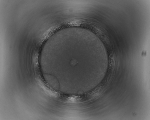 X0000113930504200911061222