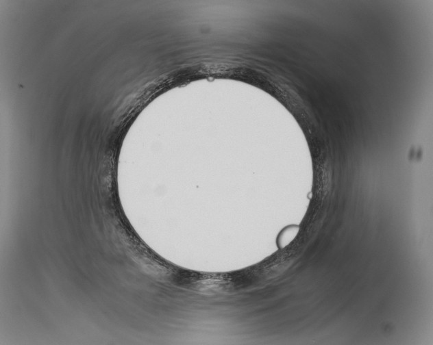 X0000113930505200911061222
