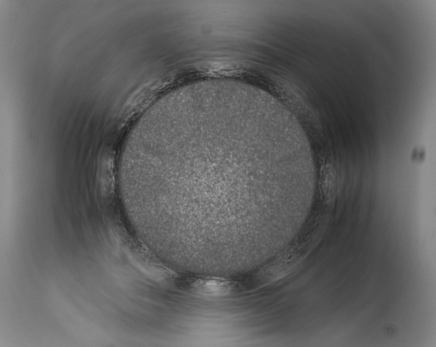 X0000113930506200911061222