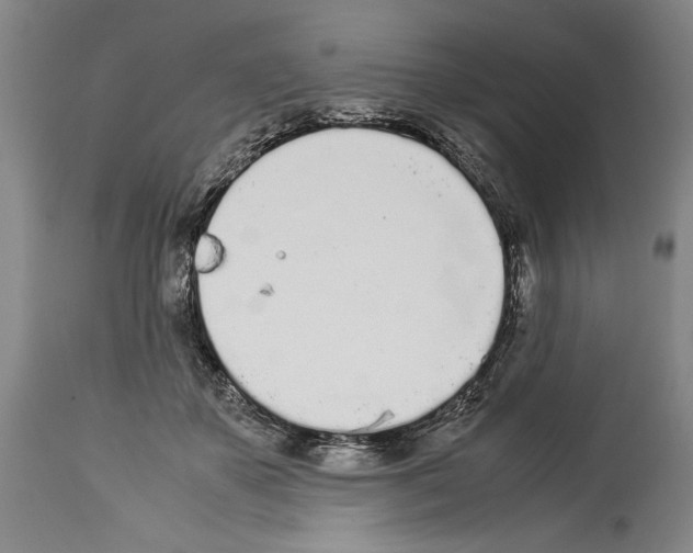 X0000113930507200911061222