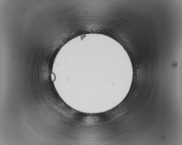 X0000113930508200911061222