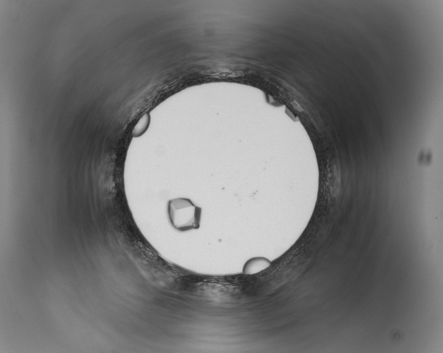 X0000113930512200911061222