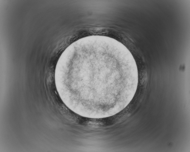 X0000113930515200911061222