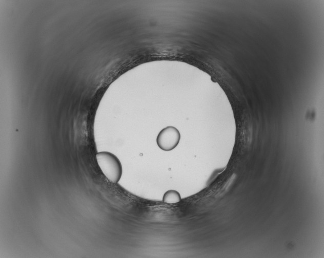 X0000113930516200911061222