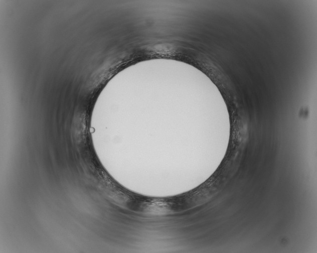X0000113930518200911061221