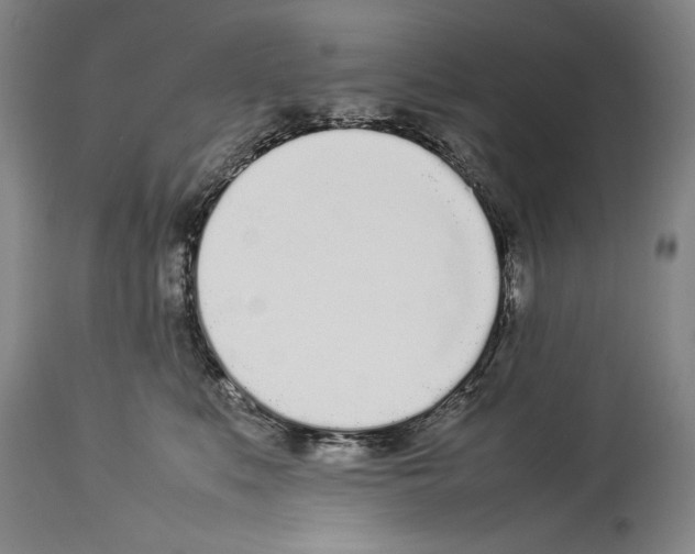 X0000113930519200911061221