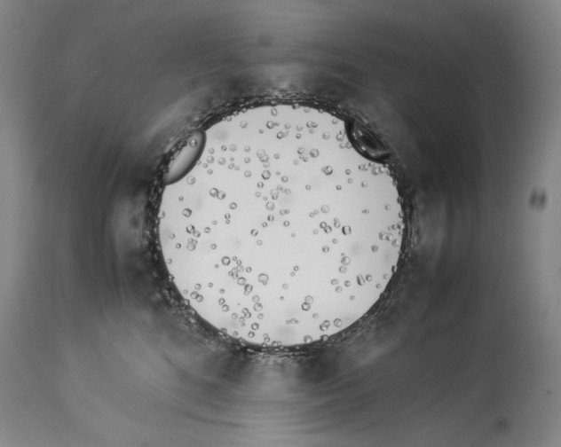 X0000113930520200911061221