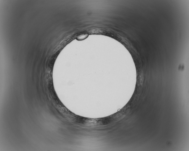 X0000113930521200911061221