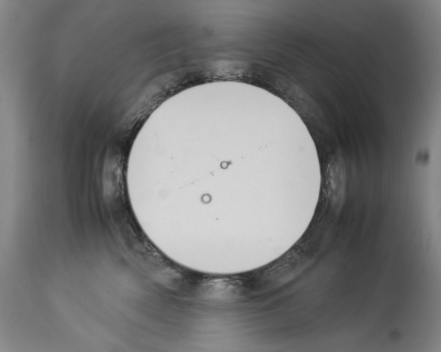 X0000113930522200911061221