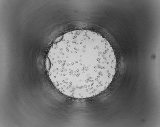 X0000113930524200911061221