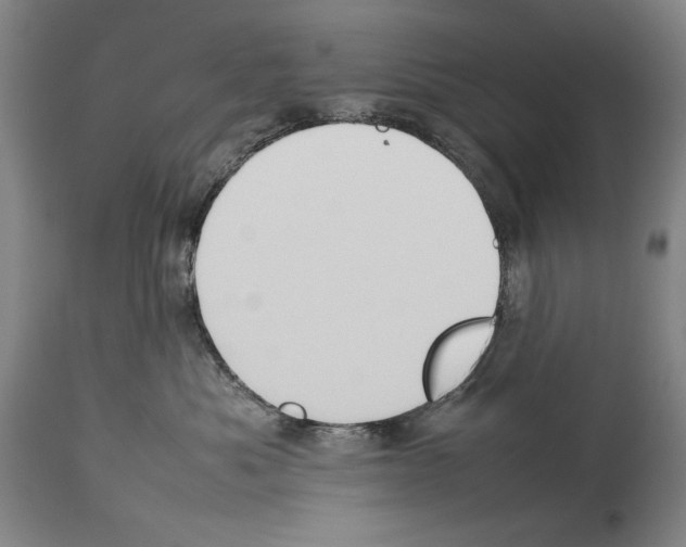 X0000113930525200911061221
