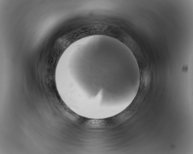 X0000113930526200911061221