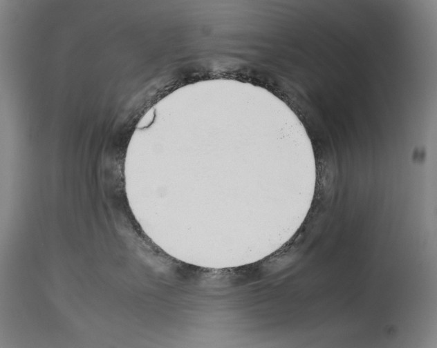 X0000113930527200911061221