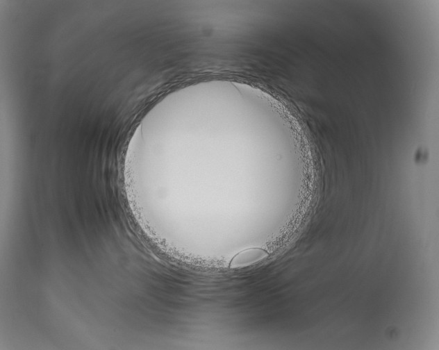 X0000113930528200911061221