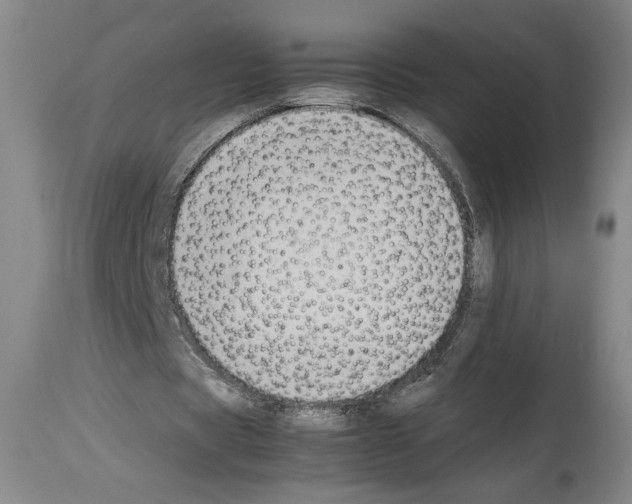 X0000113930529200911061221