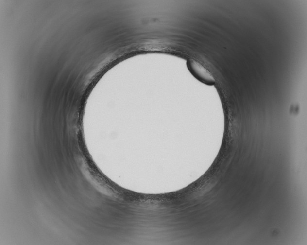 X0000113930530200911061221