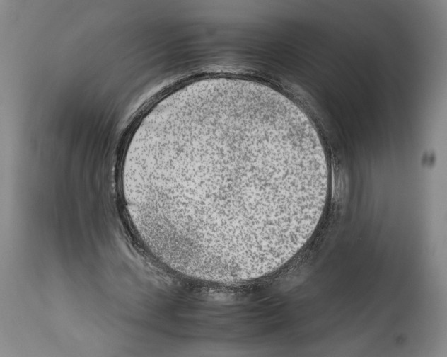 X0000113930531200911061221