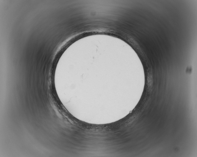 X0000113930532200911061221