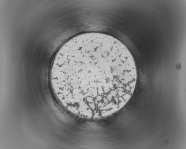 X0000113930534200911061221