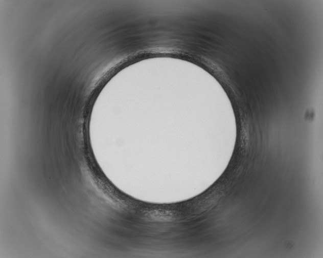X0000113930535200911061221