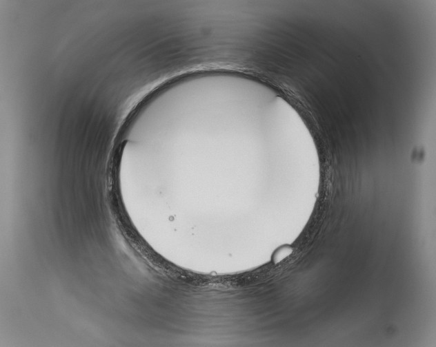 X0000113930536200911061221