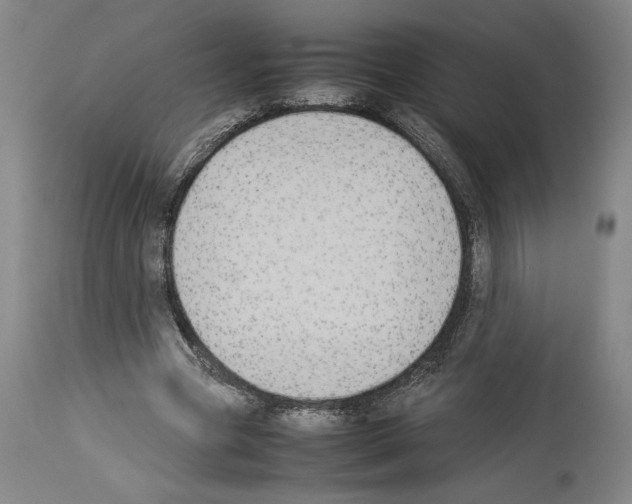 X0000113930537200911061221