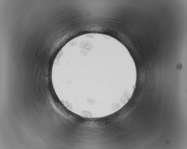 X0000113930538200911061221