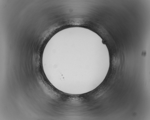 X0000113930540200911061221