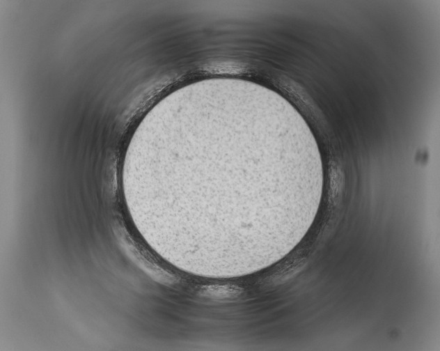 X0000113930541200911061221