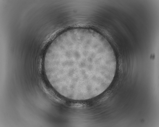 X0000113930542200911061221