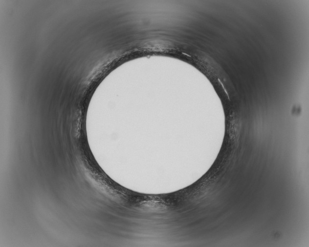 X0000113930544200911061221