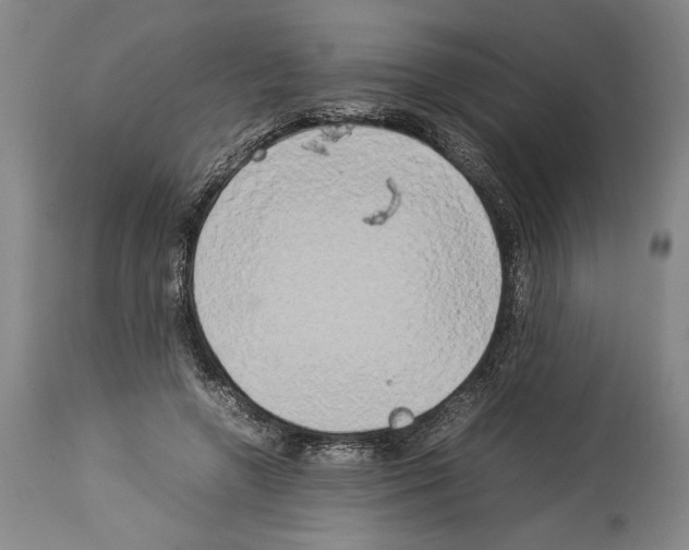 X0000113930546200911061221