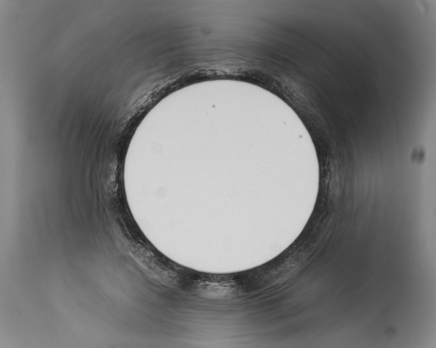 X0000113930548200911061221