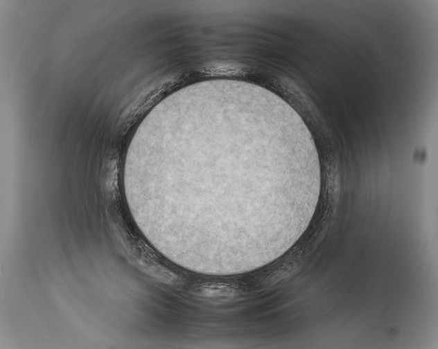 X0000113930549200911061221