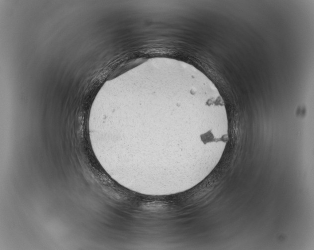 X0000113930551200911061221