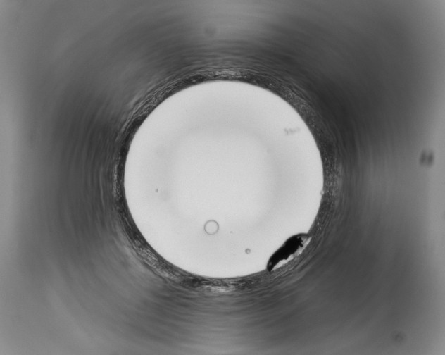 X0000113930552200911061221