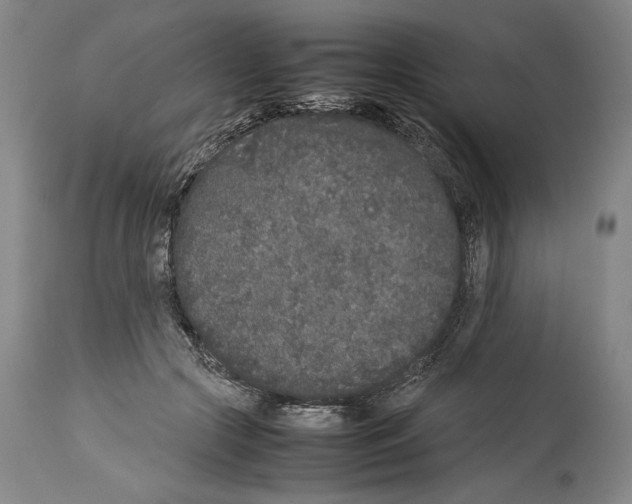 X0000113930553200911061221