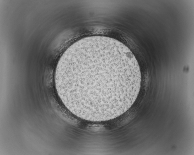 X0000113930554200911061221
