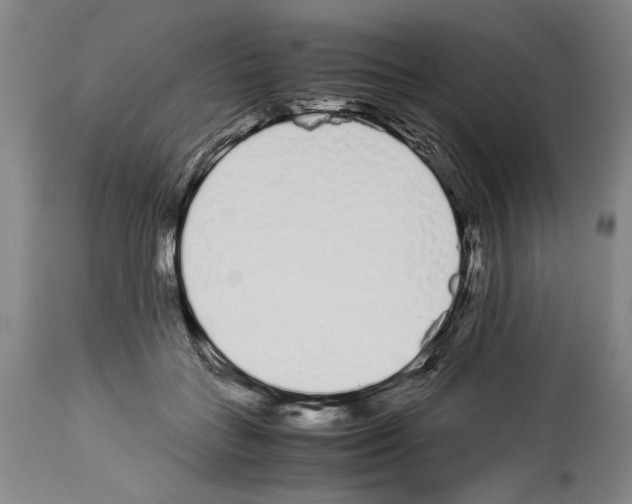 X0000113930555200911061221