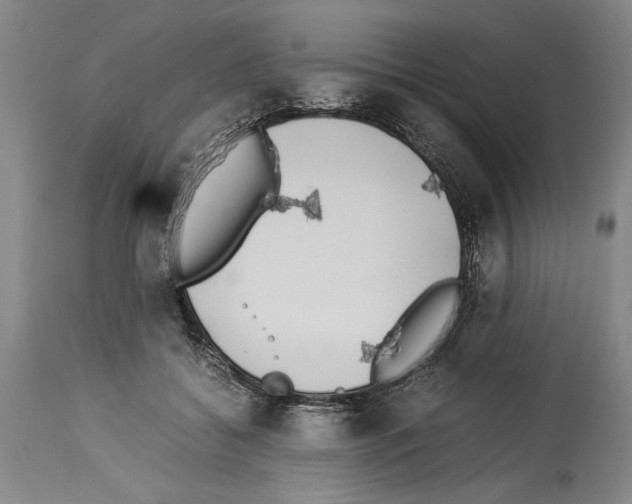 X0000113930556200911061221