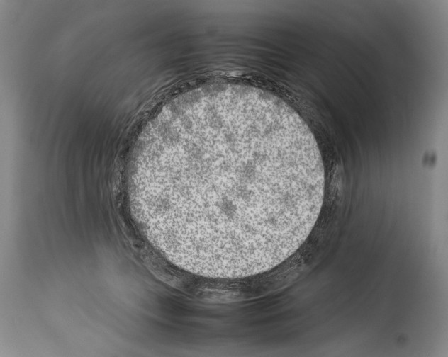 X0000113930559200911061221