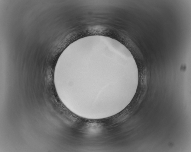 X0000113930561200911061221