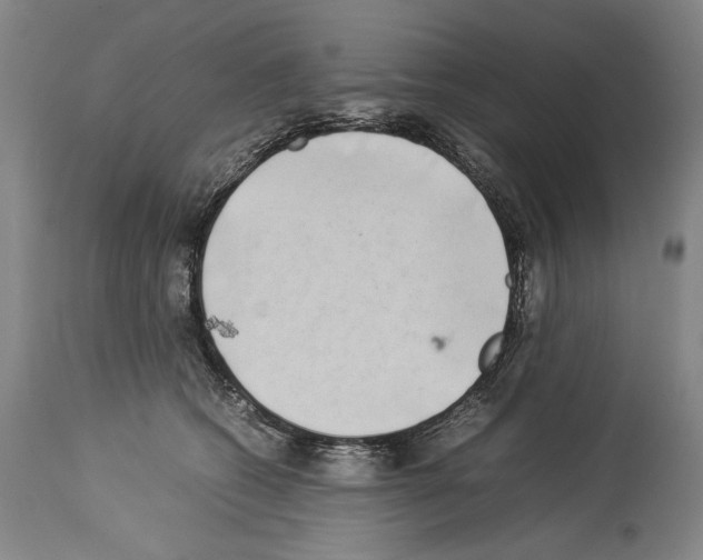 X0000113930562200911061221