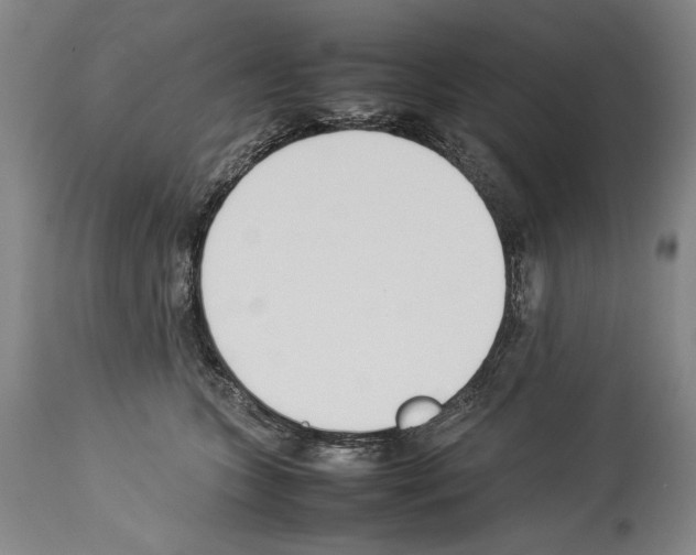 X0000113930563200911061221