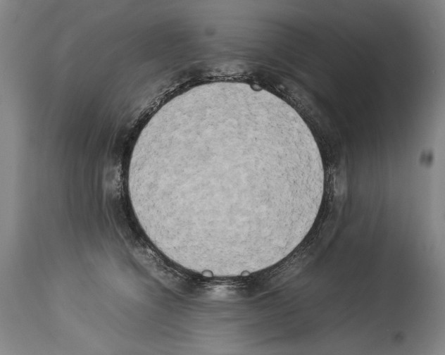 X0000113930564200911061221